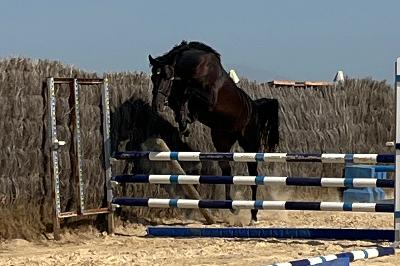 QLOCKWISE DE SAND AA