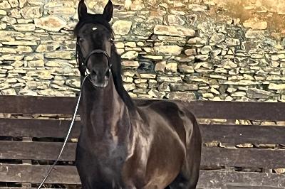 QLOCKWISE DE SAND AA