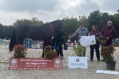 QLOCKWISE DE SAND AA