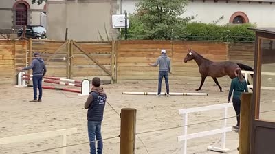 NEVEZ DES KATVENTS