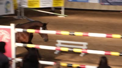 NUMEROBIS DU CHARMEUX