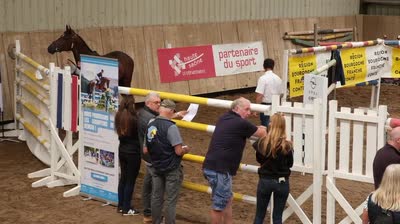 NUMEROBIS DU CHARMEUX