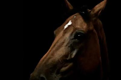 NAMASSE T DE LA BRIDE