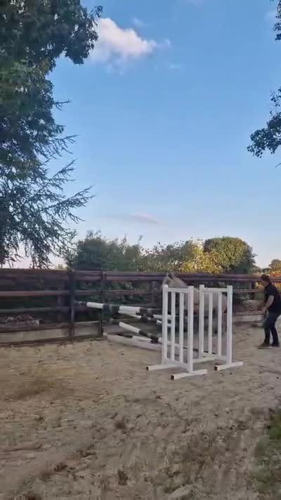 NOTINGAM DE CHATELAIN