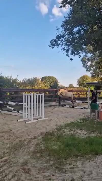 NOTINGAM DE CHATELAIN