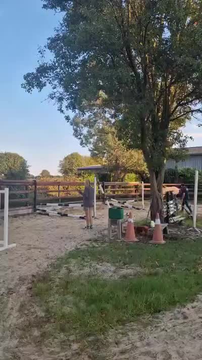 NOTINGAM DE CHATELAIN