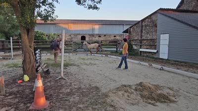 NOTINGAM DE CHATELAIN