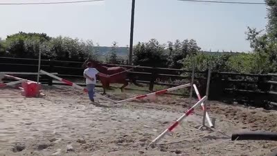 NIGHT FEVER D&#039;LNC