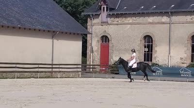 NEMESIS DU GEVAUDAN
