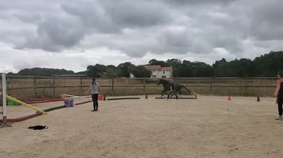 NEMESIS DU GEVAUDAN