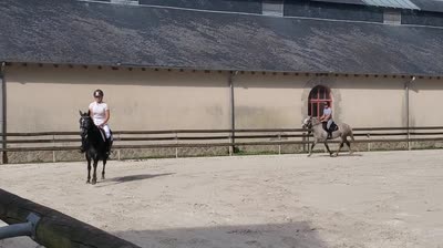 NEMESIS DU GEVAUDAN