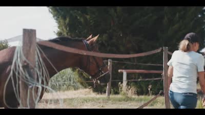 NACHO DE LA PERROTERI