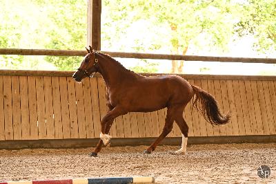 Num&eacute;rus de l'Aumoy