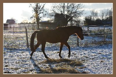 NOSY BE L'ANGUILLERE