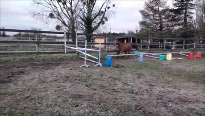 NOSY BE L'ANGUILLERE