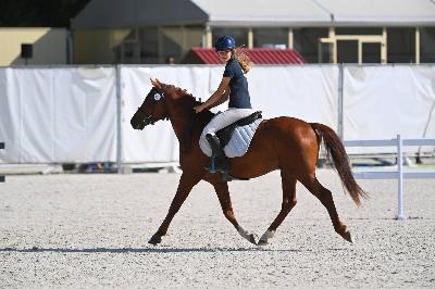 NO LIMIT DE CHAMBORD