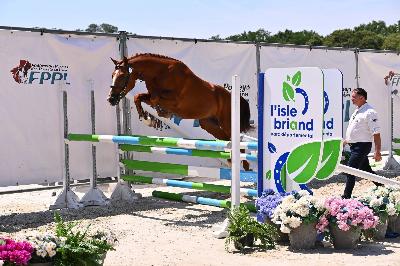 NO LIMIT DE CHAMBORD