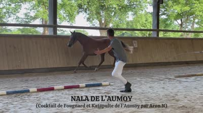NALA DE L'AUMOY