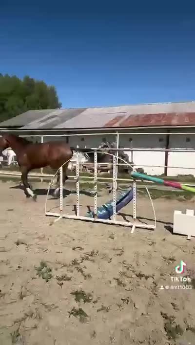 NARCO DE FONTAINE