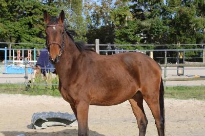 NEBRASKA DE LA BRIDE