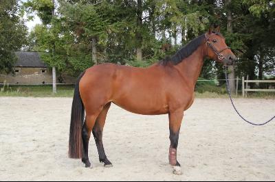 Jakarta de la Bride, sa mère