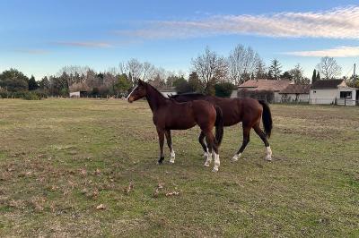 Nahele de l'Anduze 2 ans