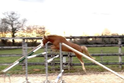 Naruto deuxieme s&eacute;ance de saut en libert&eacute;