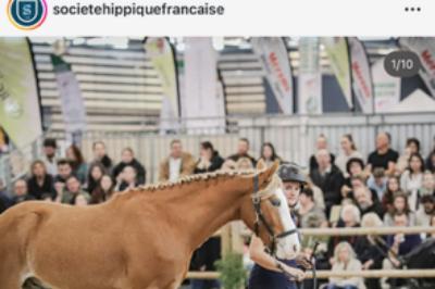 Naruto equita lyon page SHF