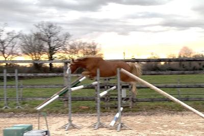 Naruto deuxieme s&eacute;ance de saut en libert&eacute;