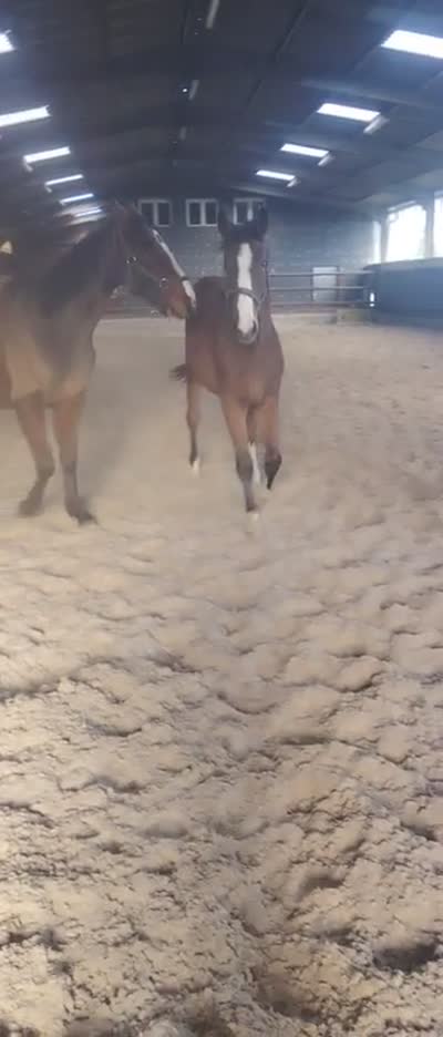 OOMPA LOOMPA DU SORET