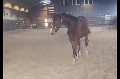 OOMPA LOOMPA DU SORET