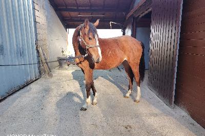 OOMPA LOOMPA DU SORET