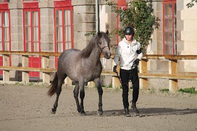 OLYMPE DE LA ROSALYS