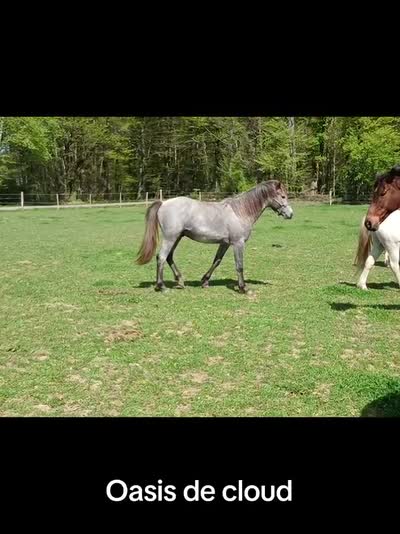 OASIS DE CLOUD