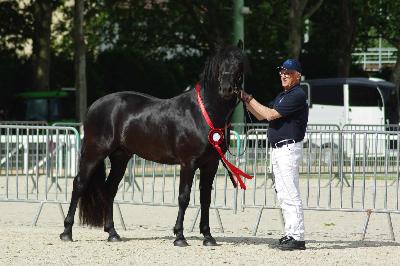 LUCIFER Champion suprême VICHY 2024