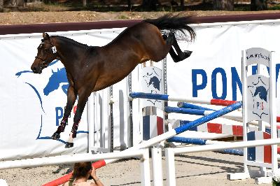 ONNY MOON DE CISAI