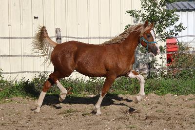 LADY OLIVIA DE MAIKA