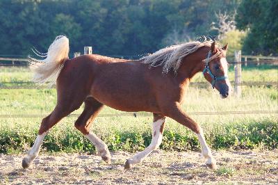 LADY OLIVIA DE MAIKA