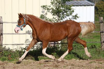 LADY OLIVIA DE MAIKA