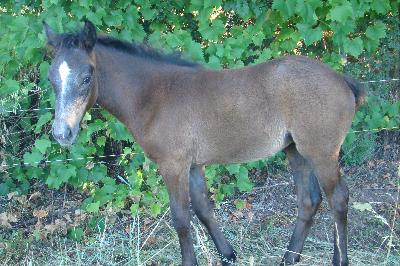 O vive &agrave; 3 mois