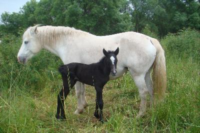 o vive &agrave; la naissance