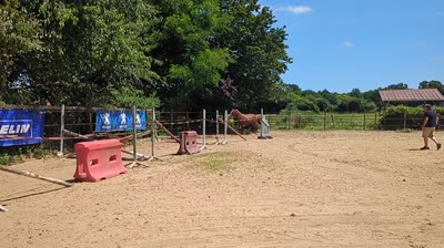 le saut