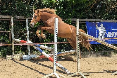 LE SAUT