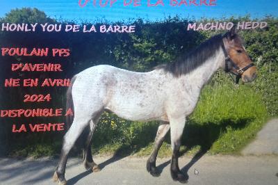 O&#039;TOP DE LA BARRE