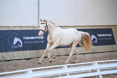 OD'ESPOIR SBG