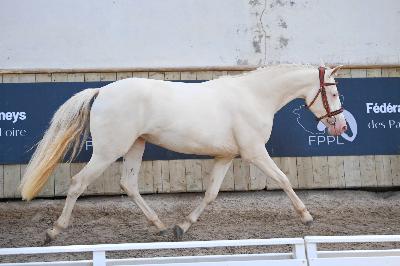 OD'ESPOIR SBG