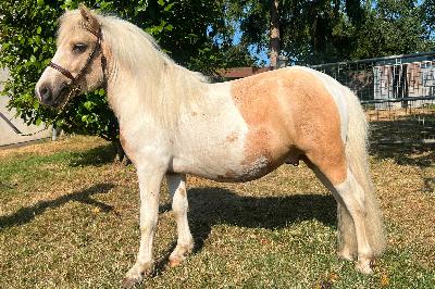 OUDINI DU CHENILLY