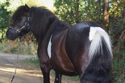 OXALYS D HELNA