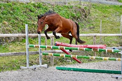 OBIWAN DES SALINIERES