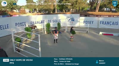 ONLY HOPE DE VICOU